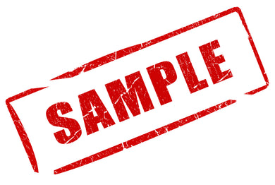 SAMPLE 6